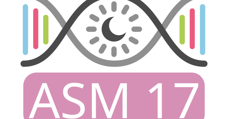 asm 17